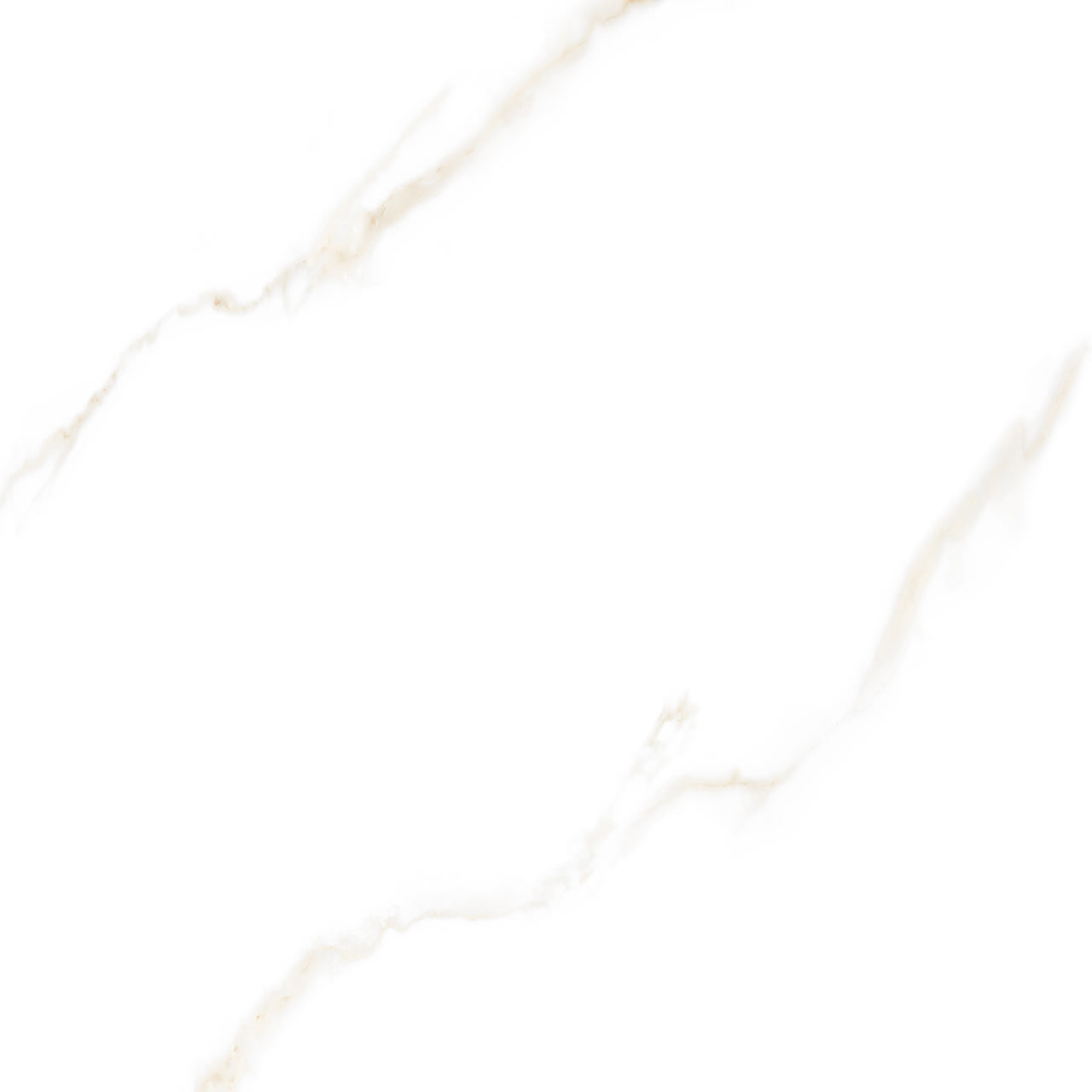 P4619photo21514468388 1208 - آرامیس - تصویر 1